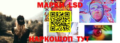 индика Обь