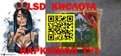 СК Новозыбков