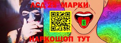 индика Обь