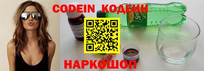 индика Обь