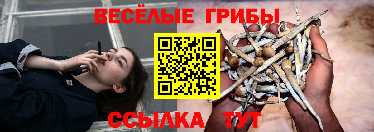 Галлюциногенные грибы Psilocybine cubensis  где продают   Ростов-на-Дону  Вход с VPN 